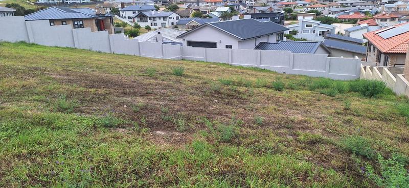 0 Bedroom Property for Sale in Monte Christo Western Cape